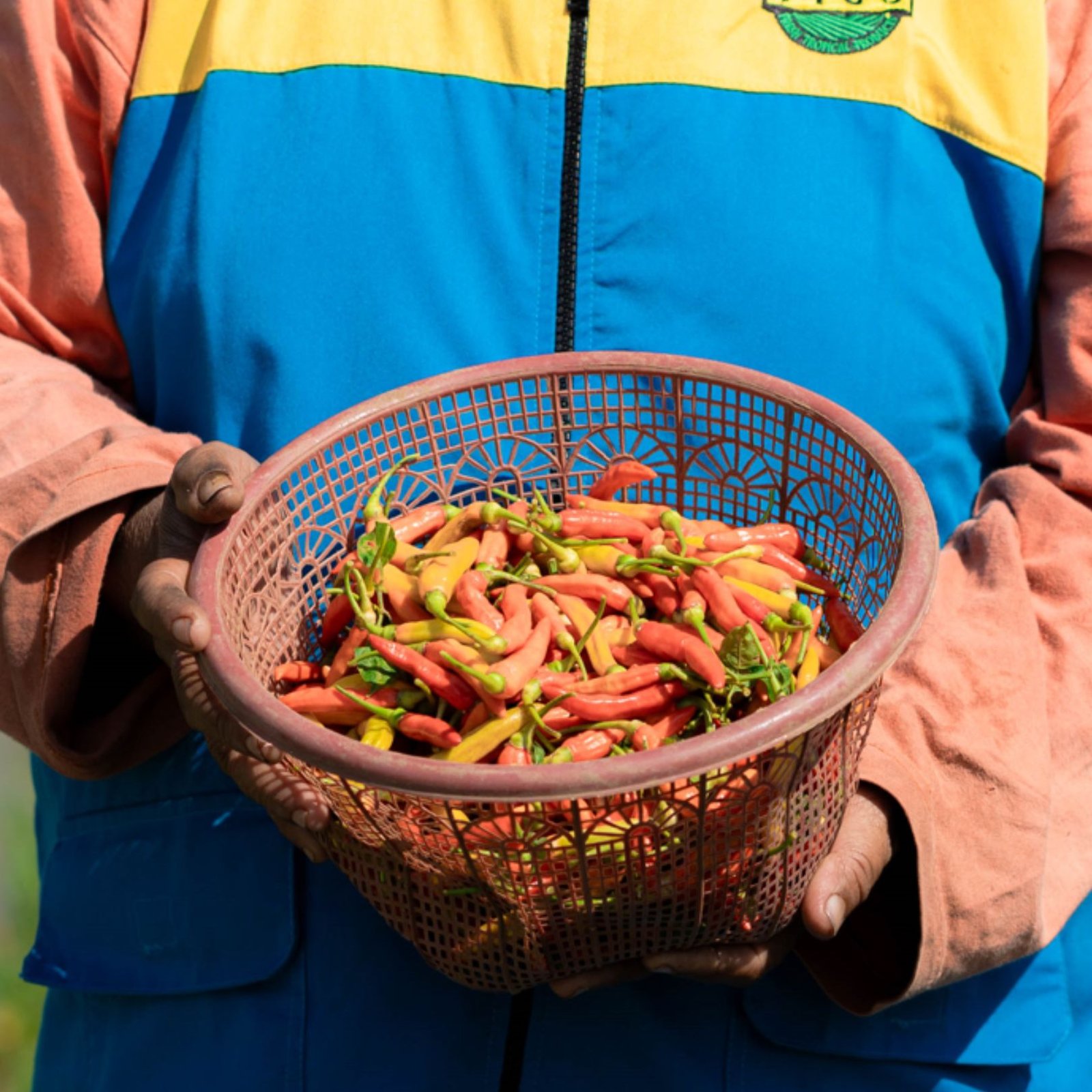 Untitled design (82)