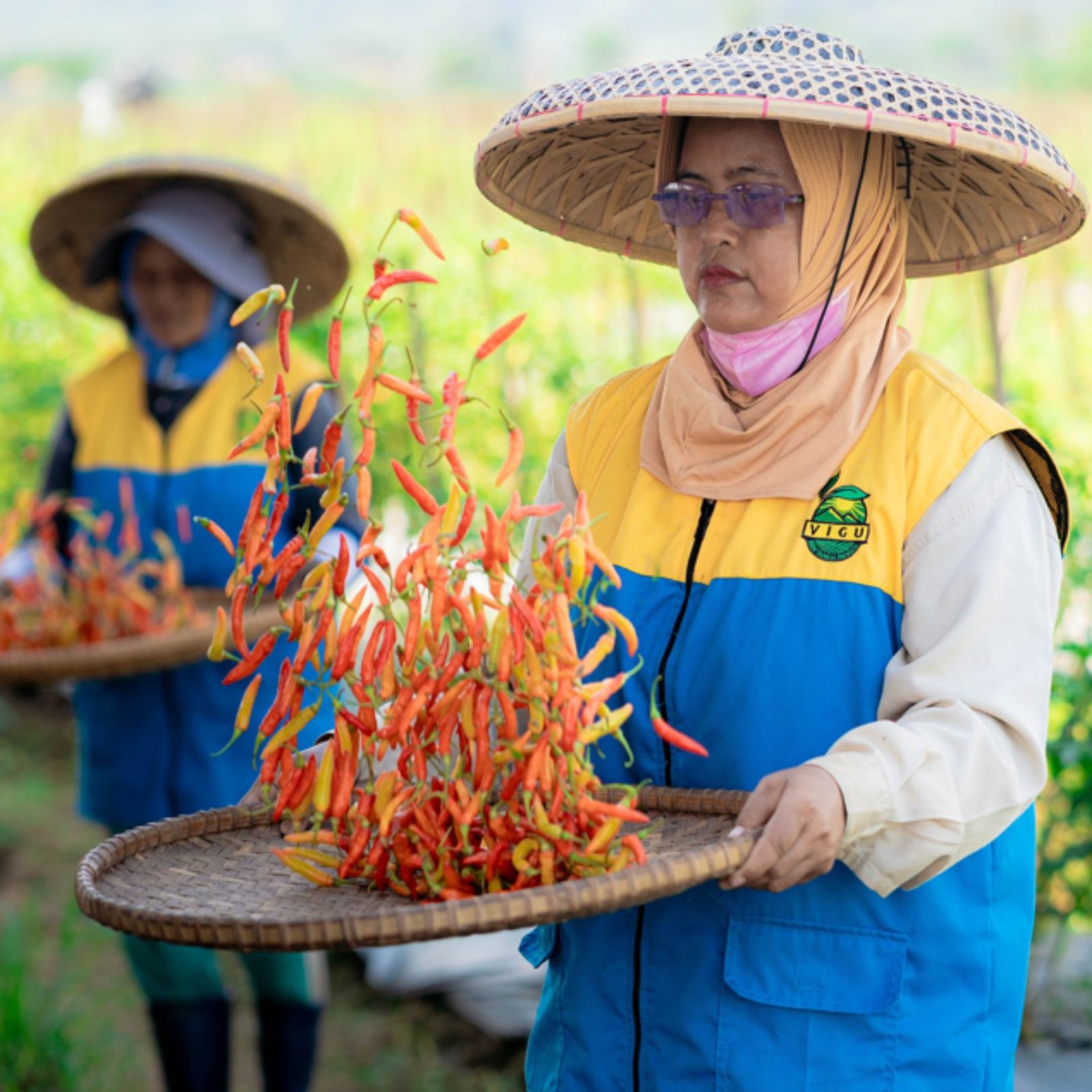 Untitled design (83)