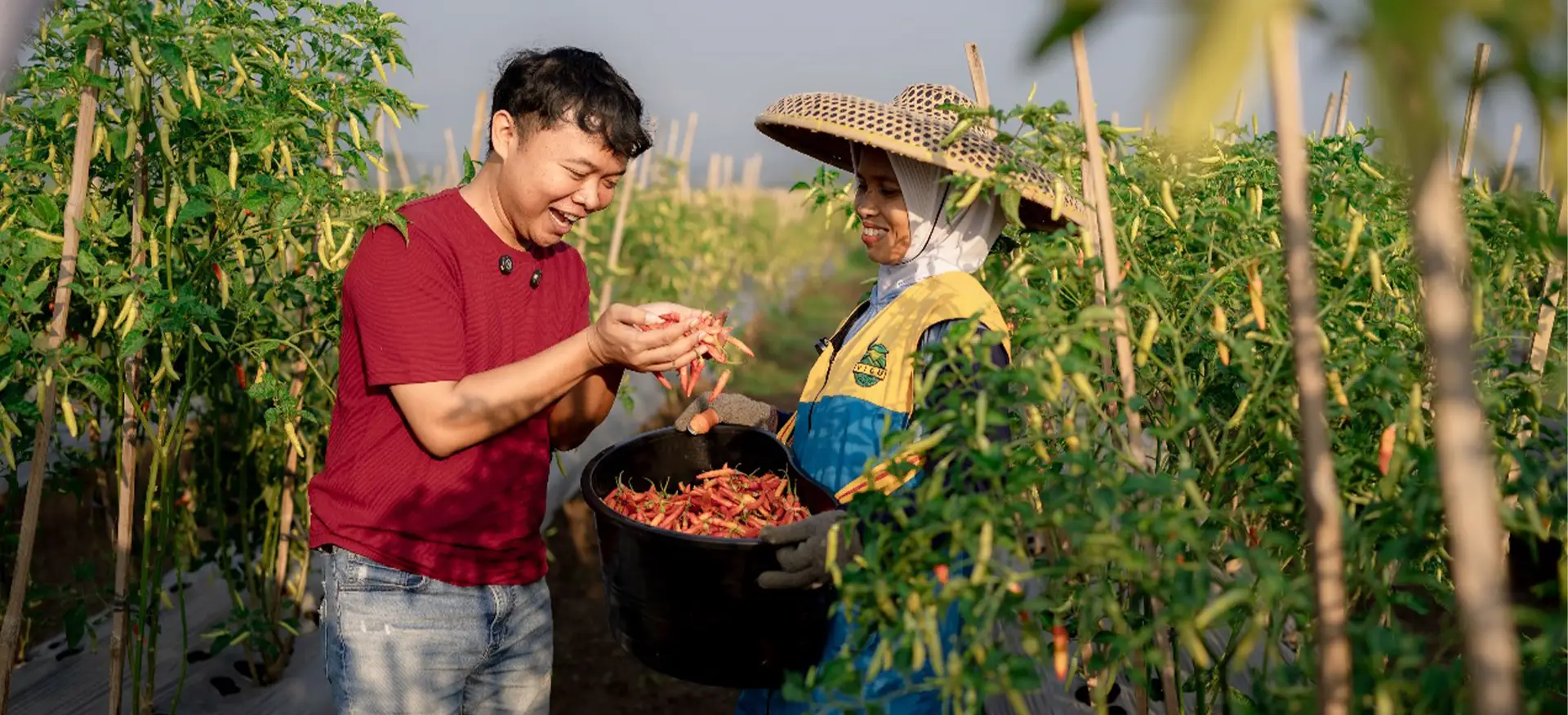 hero-vigu-farm-indonesia-dyodoran1